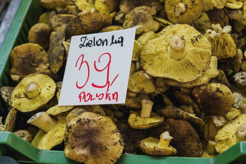 Stoiska z grzybami w Hali Targowej we Wrocławiu