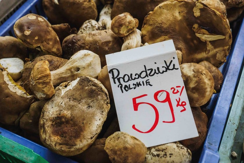 Stoiska z grzybami w Hali Targowej we Wrocławiu