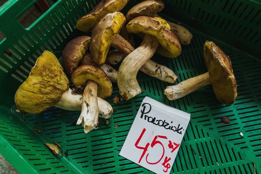 Stoiska z grzybami w Hali Targowej we Wrocławiu