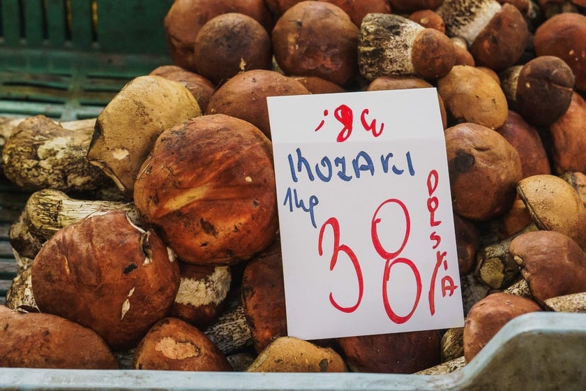 Stoiska z grzybami w Hali Targowej we Wrocławiu