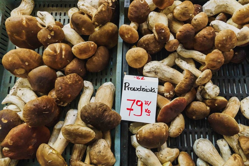 Stoiska z grzybami w Hali Targowej we Wrocławiu