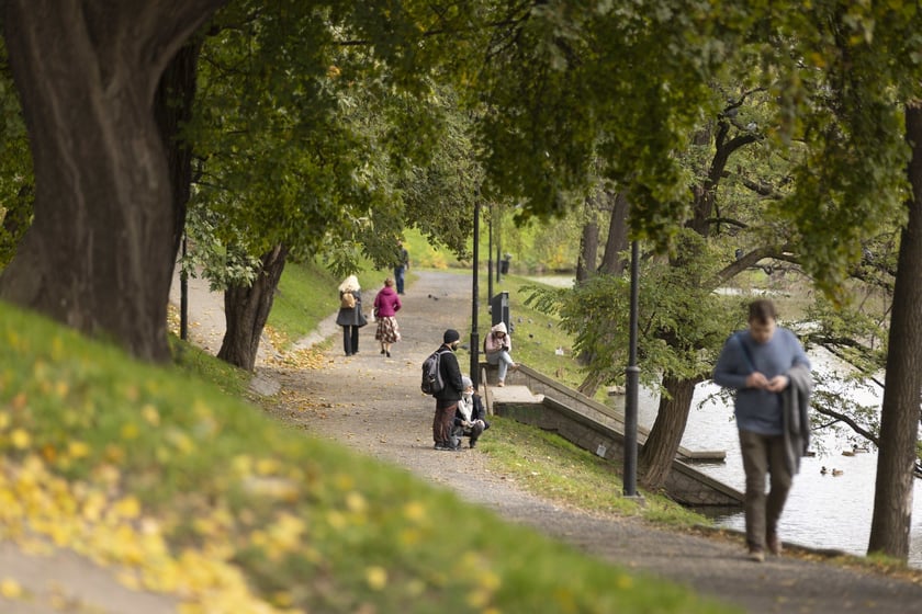 Jesień we Wrocławiu