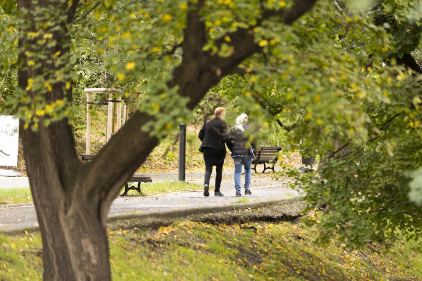 Jesień we Wrocławiu