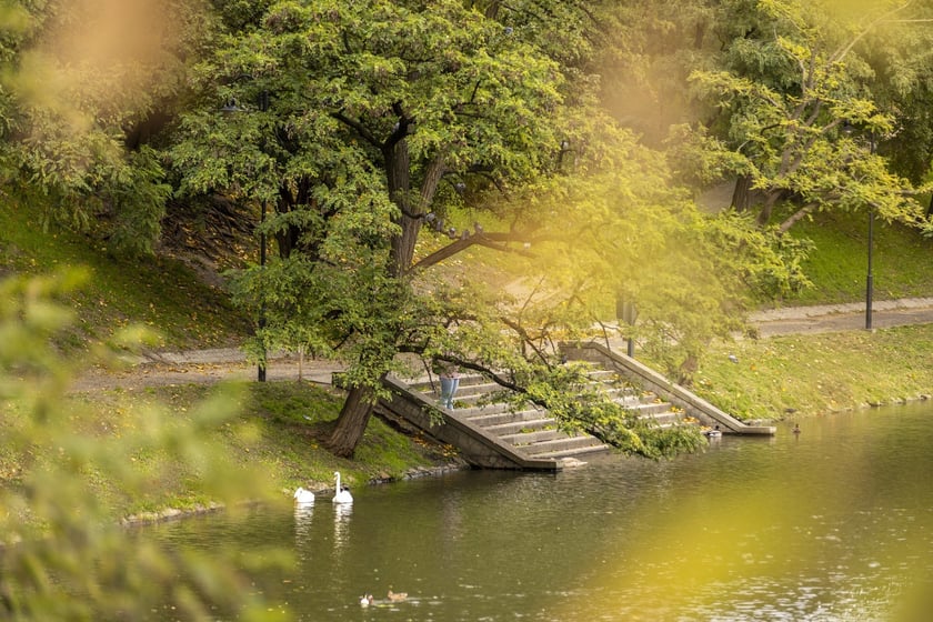 Jesień we Wrocławiu