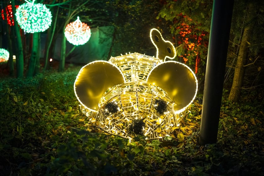 Lumina Park w Zamku Topacz pod Wrocławiem