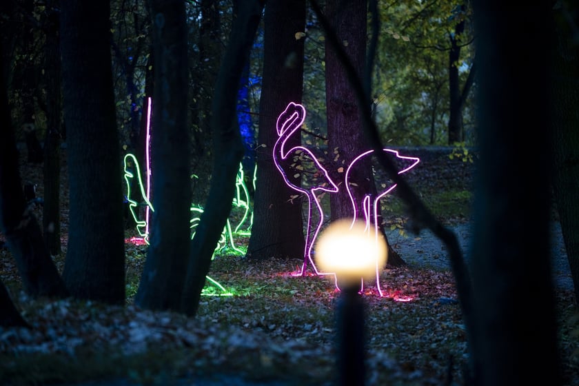 Lumina Park w Zamku Topacz pod Wrocławiem