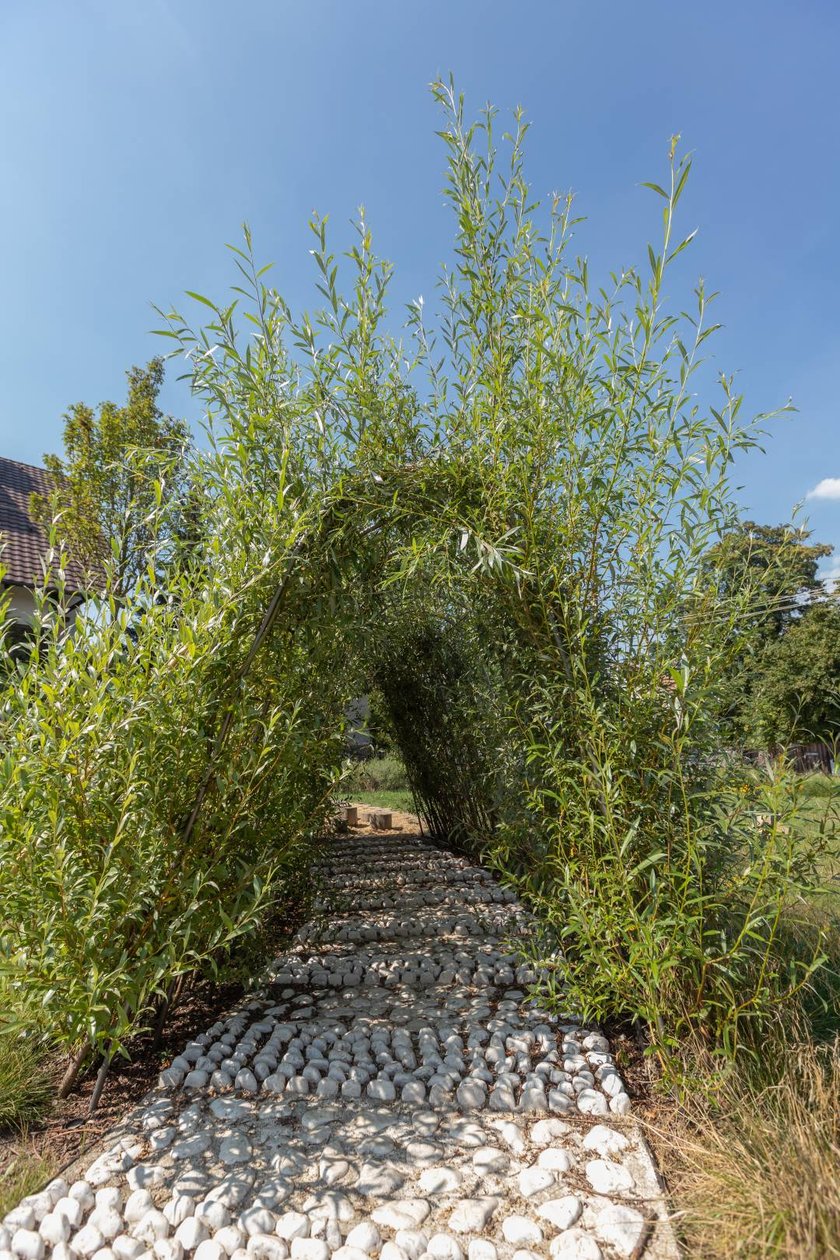 Skwer przy ul. Kosmicznej