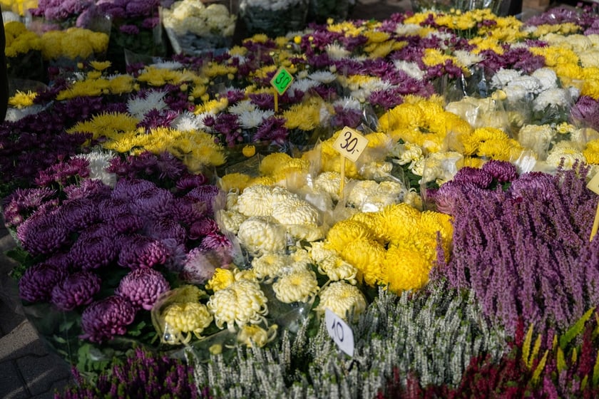 Przygotowania do Wszystkich Świętych na cmentarzu Osobowickim - 27.10.2024