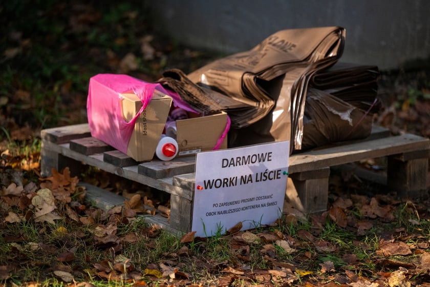 Przygotowania do Wszystkich Świętych na cmentarzu Osobowickim - 27.10.2024