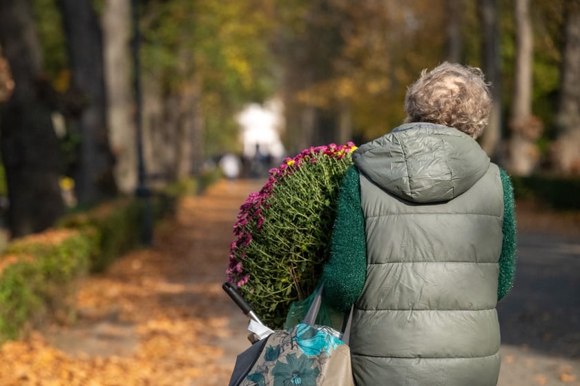 Przygotowania do Wszystkich Świętych na cmentarzu Osobowickim - 27.10.2024
