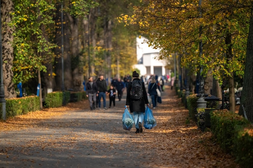 Przygotowania do Wszystkich Świętych na cmentarzu Osobowickim - 27.10.2024