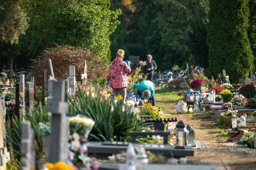 Przygotowania do Wszystkich Świętych na cmentarzu Osobowickim - 27.10.2024