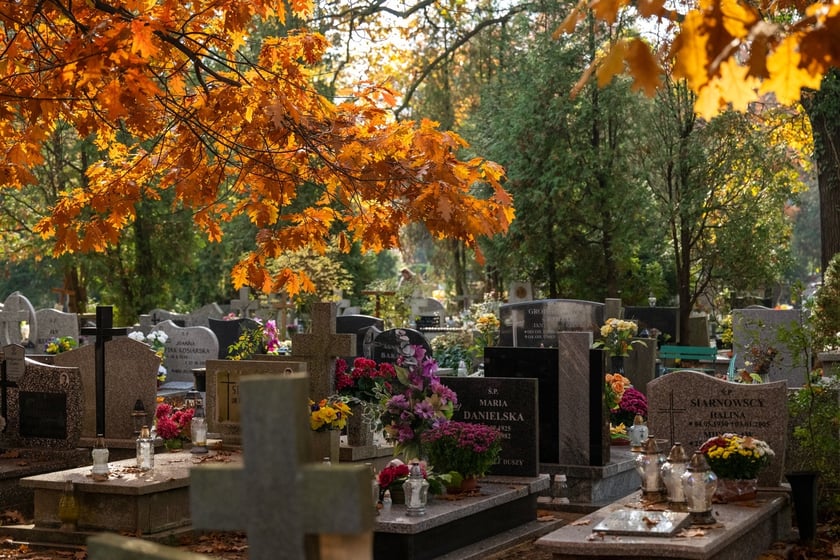 Przygotowania do Wszystkich Świętych na cmentarzu Osobowickim - 27.10.2024