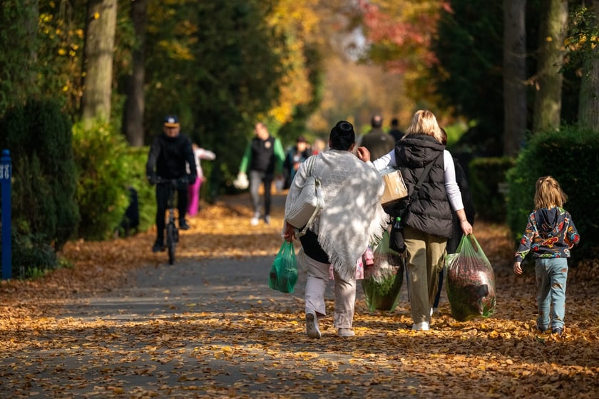 Przygotowania do Wszystkich Świętych na cmentarzu Osobowickim - 27.10.2024