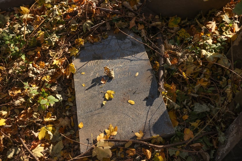 Stele odkryte na gruzowisku na cmentarzu przy ul. Krzyckiej na Krzykach