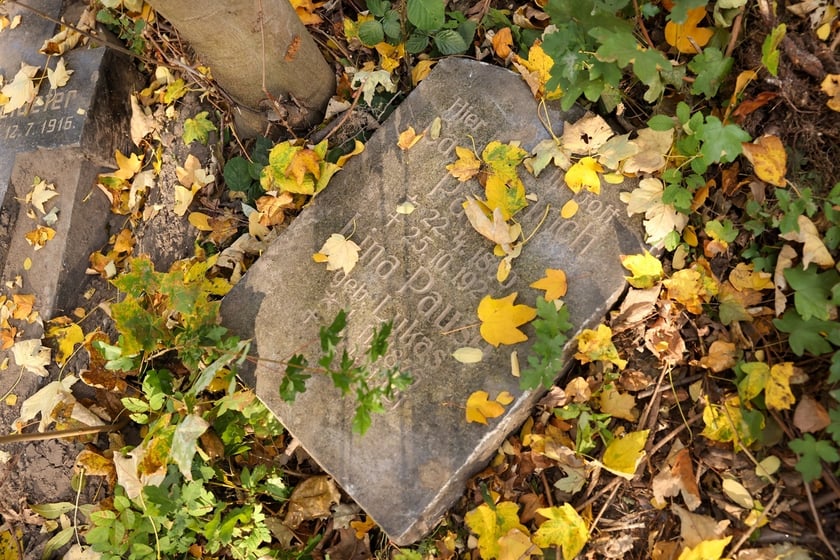 Stele odkryte na gruzowisku na cmentarzu przy ul. Krzyckiej na Krzykach