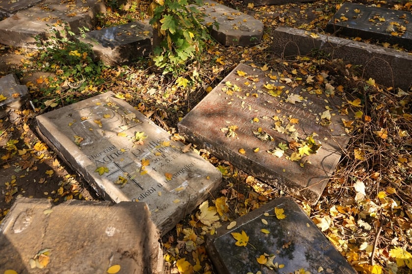 Stele odkryte na gruzowisku na cmentarzu przy ul. Krzyckiej na Krzykach
