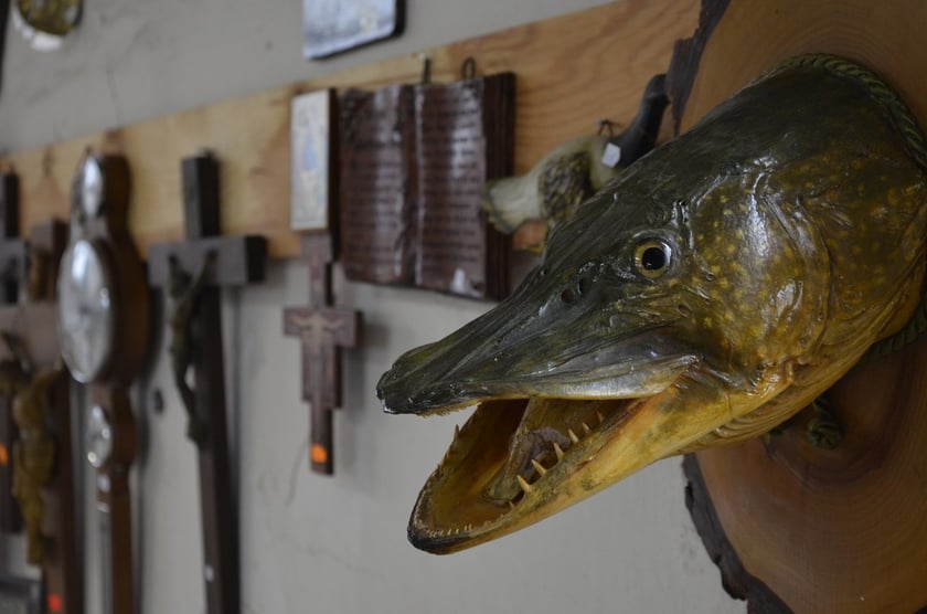 Targ pod Mlynem Sułkowice. Fotografia z książki Miejsce życzliwe. Rzecz o Targu pod Młynem Sułkowice