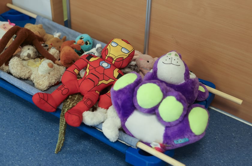 Klinika pluszowego misia w przedszkolu "Niezapominajka". Wrocław, 25.11.2024