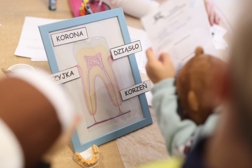 Klinika pluszowego misia w przedszkolu "Niezapominajka". Wrocław, 25.11.2024