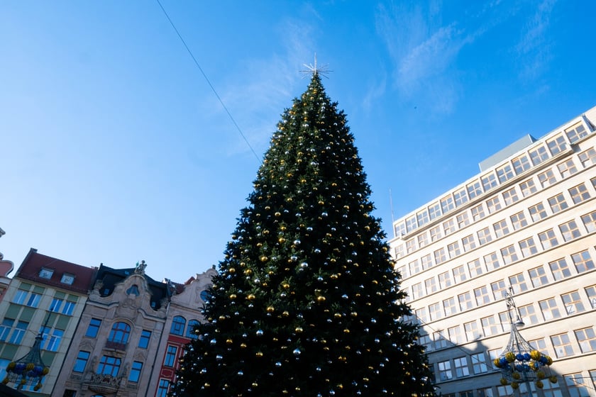 Choinka na Rynku we Wrocławiu
