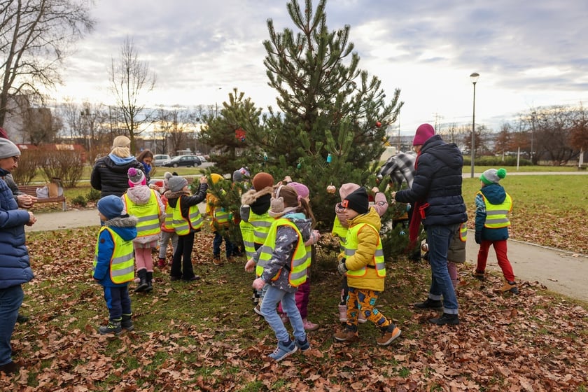 Dzieci z Przedszkola nr 17 na wrocławskim Zakrzowie ubrały choinkę w Parku Jedności - 18.12.2024
