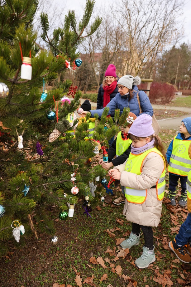 Dzieci z Przedszkola nr 17 na wrocławskim Zakrzowie ubrały choinkę w Parku Jedności - 18.12.2024