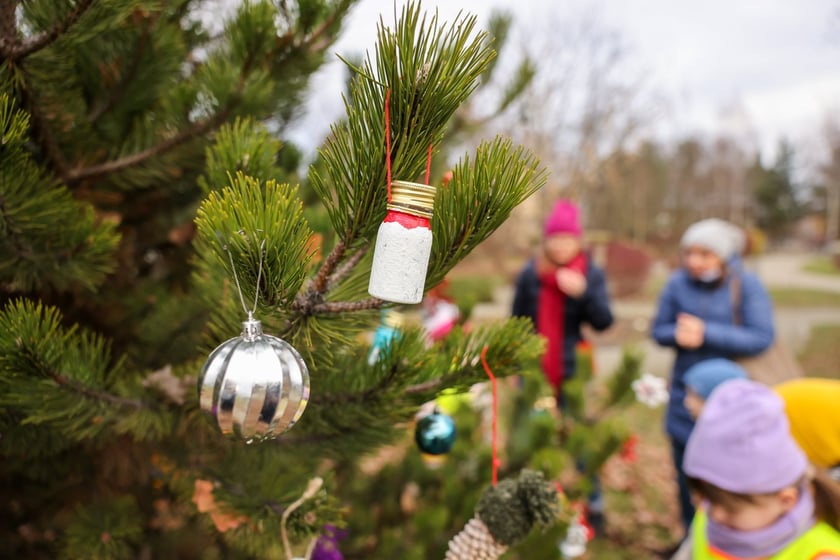 Dzieci z Przedszkola nr 17 na wrocławskim Zakrzowie ubrały choinkę w Parku Jedności - 18.12.2024