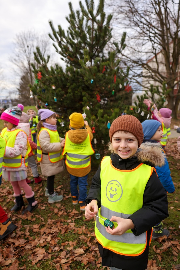Dzieci z Przedszkola nr 17 na wrocławskim Zakrzowie ubrały choinkę w Parku Jedności - 18.12.2024