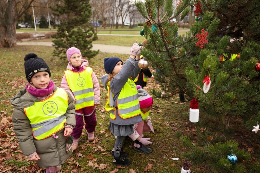Dzieci z Przedszkola nr 17 na wrocławskim Zakrzowie ubrały choinkę w Parku Jedności - 18.12.2024