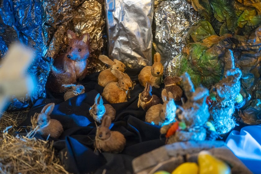 Szopka w kościele Karola Boromeusza