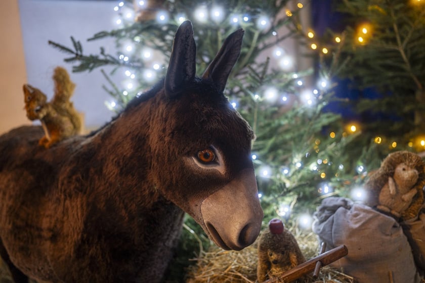 Szopka w kościele Karola Boromeusza