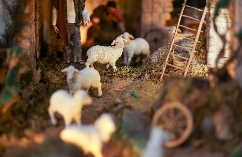 Szopbki bożonarodzeniowe we wrocławskich kościołach