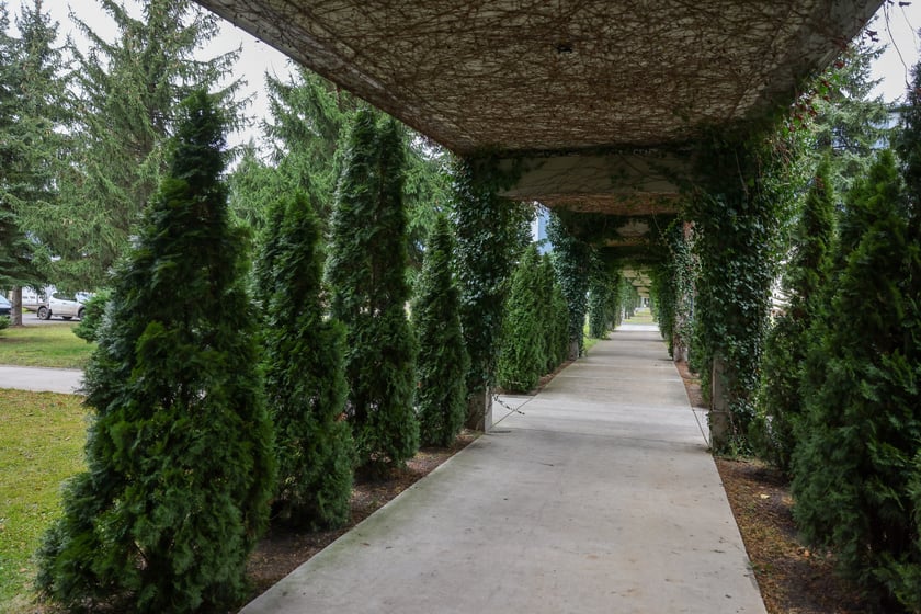 Pergola pod Wrocławiem przypomina tę przy Hali Stulecia.