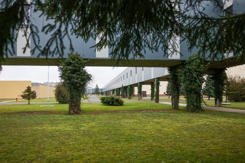 W rzeczywistości pergola podpiera długi na 200 metr&oacute;w korytarz.