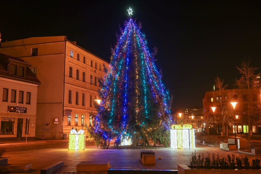 Choinka na Psim Polu