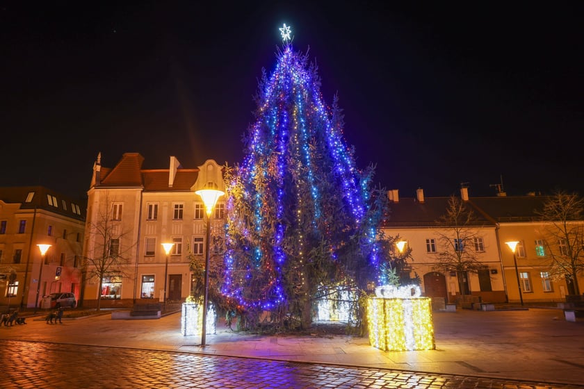 Choinka na Psim Polu