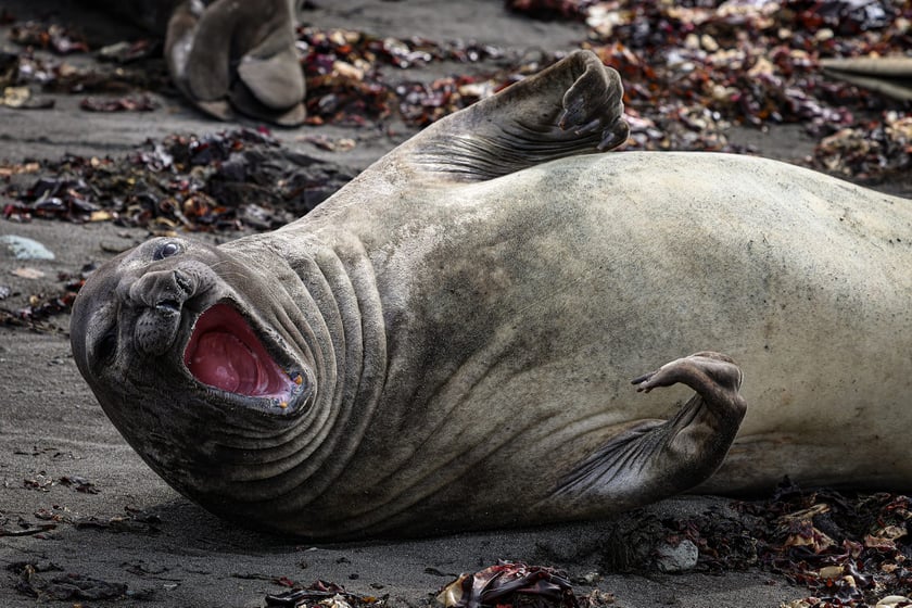 Wok&oacute;ł Stacji nie brakuje zwierząt
