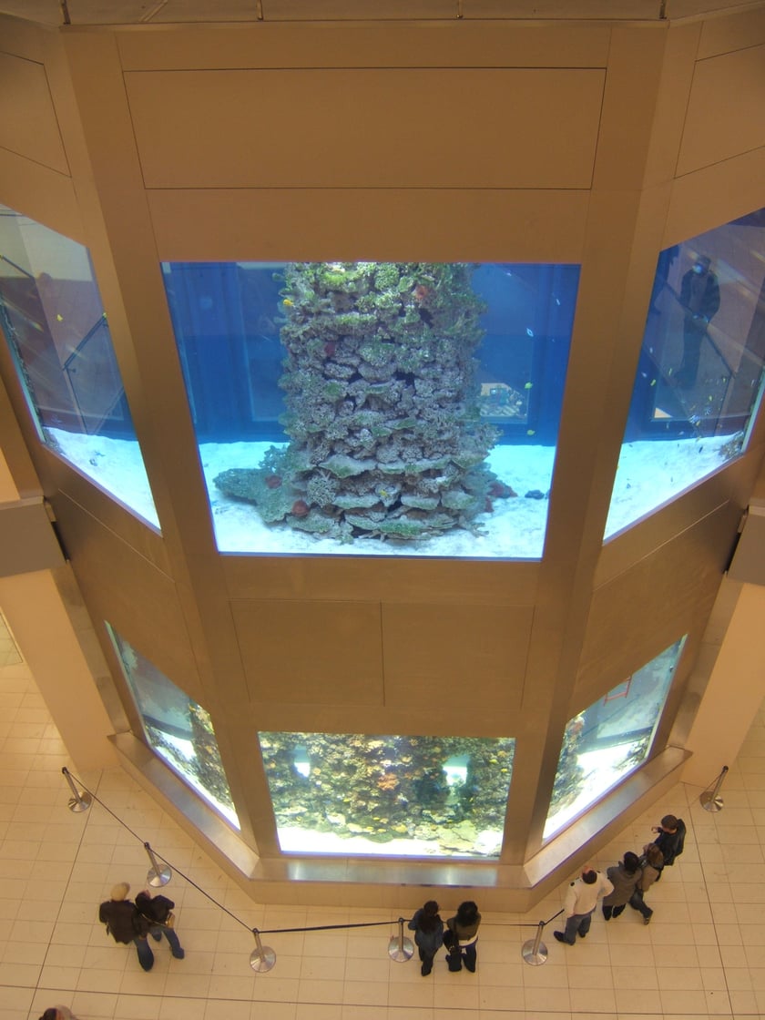 Akwarium w Arkadach Wrocławskich