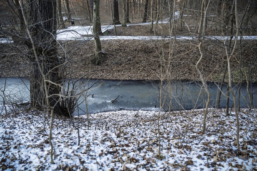 Teren dawnego dworu rodziny Dumlose w Sołtysowicach