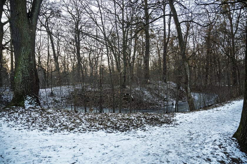 Teren dawnego dworu rodziny Dumlose w Sołtysowicach