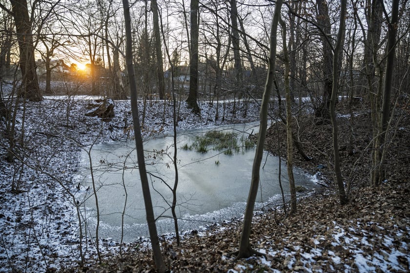 Teren dawnego dworu rodziny Dumlose w Sołtysowicach