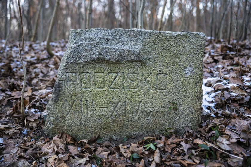 Teren dawnego dworu rodziny Dumlose w Sołtysowicach