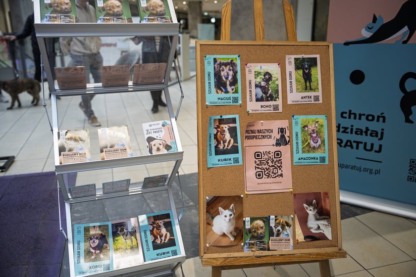 Uczestnicy Targów PupiLove w Pasażu Grunwaldzkim
