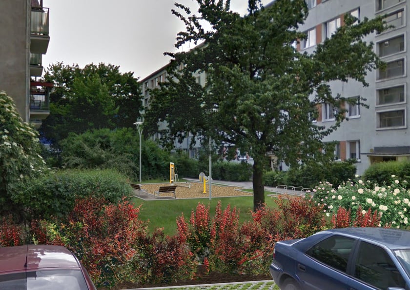 Jeden z zieleńc&oacute;w po metamorfozie