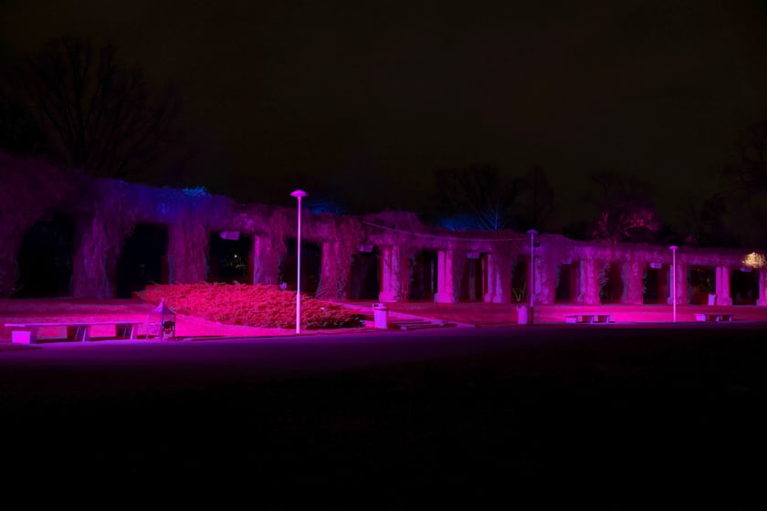 Hala Stulecia, w Dniu Chorób Rzadkich #RareDiseaseDay