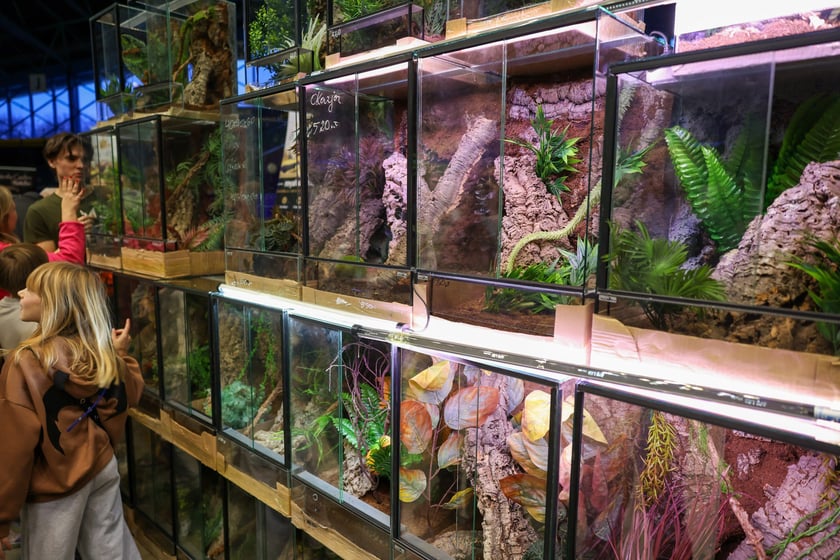 Zooegzotyka Wrocław 2025 w Orbicie