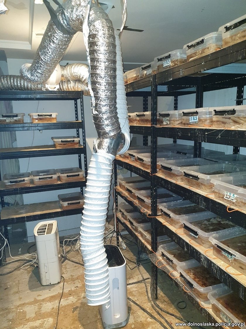 Likwidacja gigantycznej fabryki narkotyków