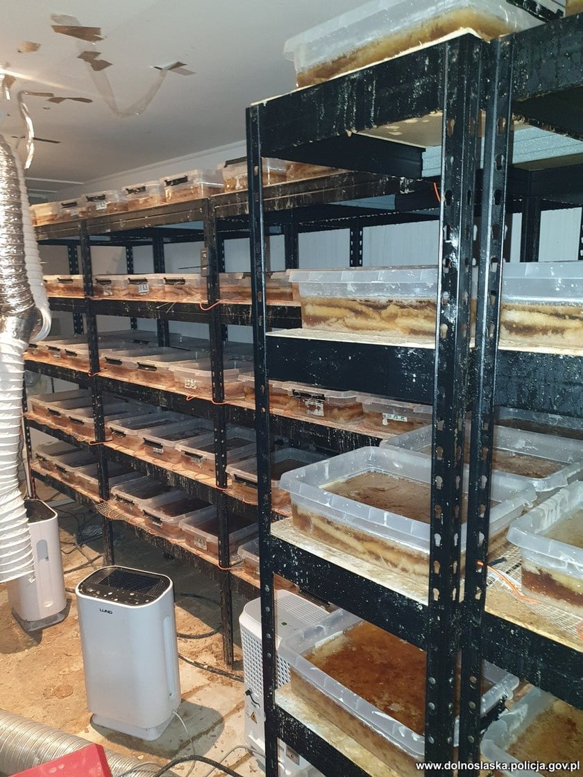 Likwidacja gigantycznej fabryki narkotyków