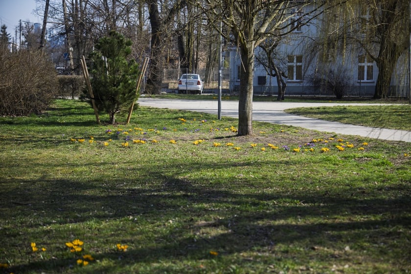 Spacerowicze we Wrocławiu